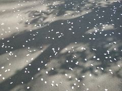 -迎泽公园