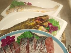 -邵年鸽(杨庄店)