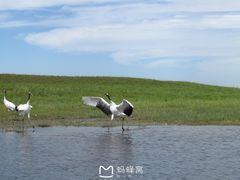 -黑龙江扎龙生态旅游区
