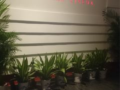 -首都电影院(金融街店 杜比全景声)