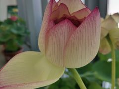 -上海植物园-4号门售票处