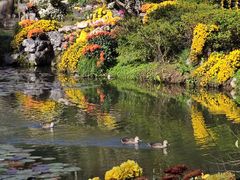 -杭州植物园