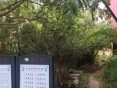 -江门古兜温泉小镇