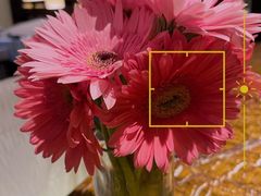 -傣妹火锅(四川北路店)