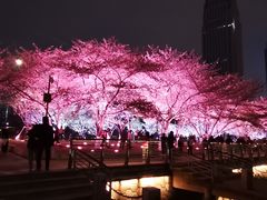 -西北湖绿化广场