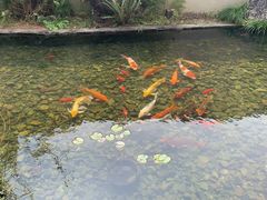-花麦地溪边小厨(天台国清寺入口店)