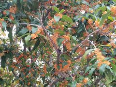 -苏州独墅湖书香世家酒店