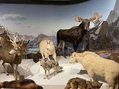 -陕西自然博物馆