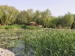 -太阳宫公园