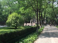 -山东大学(趵突泉校区)