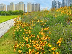 -白塘生态植物园