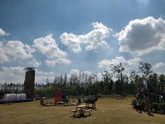 -上海长兴岛郊野公园