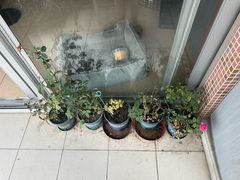 -银泰百货(厦门国贸中心店)