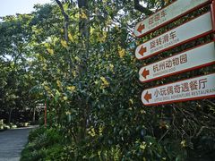 -杭州少年儿童公园