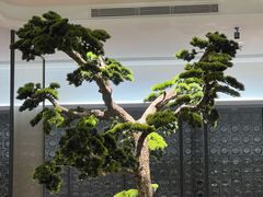 -眉州东坡(大悦城店)