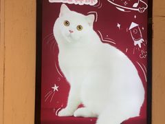 -爪爪喵星球·猫舍(卓悦中心店)