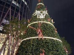 -深圳湾万象城(南山店)