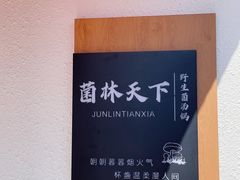 -菌林天下·野生菌汤锅