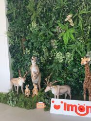 -IMON·HANSA潮玩玩偶毛绒玩具(通州万象汇店)