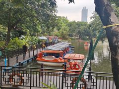 -晓港公园