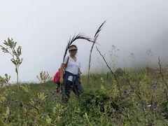 -白草畔自然风景区