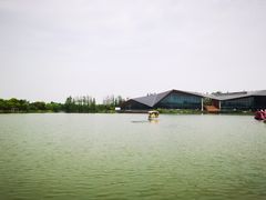 -上海长兴岛郊野公园