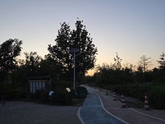 -绿堤公园