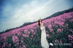 -施华洛婚纱摄影会所(范阳中路店)