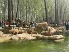 -北京野生动物园