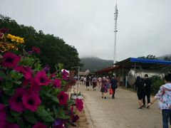 -金石滩蓝莓谷庄园