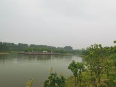 -东郊湿地公园