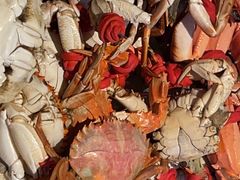 -一方渔歌蒸汽海鲜自助(文化路万达广场店)