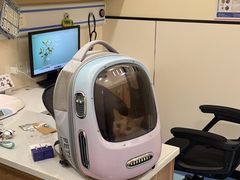 -萌兽医馆·犬猫专科·眼科中心·宠物医院(朝阳门分院)