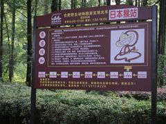 -合肥野生动物园