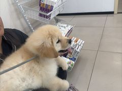 -艾贝尔宠物医院 ·中兽医·宠保定点(北门桥店)