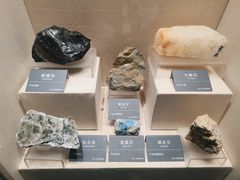 -安徽省地质博物馆