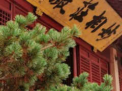 -上海东林寺(金山区)
