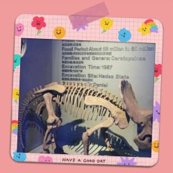 -恐龙探索乐园(磁器口店)