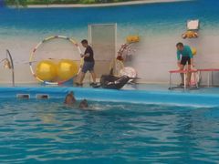 -尼莫海豚馆