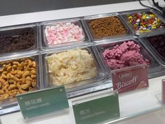 -Salud撒露欧洲冻酸奶(北苑上品店)