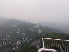-大金鹰园