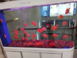 -成都军建医院·疤痕诊疗中心