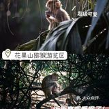 三亚小众景点-南湾猴岛！