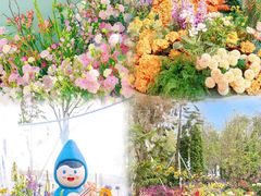 -莲花山公园