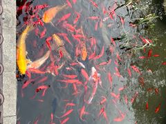 -聚缘堂·海鲜私房菜(松岭路店)