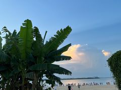 -瑶湖郊野森林公园