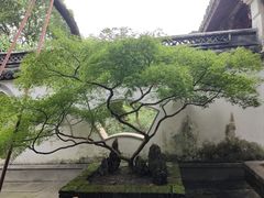 -太平天国侍王府