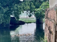 -丝绸小镇荻港古村