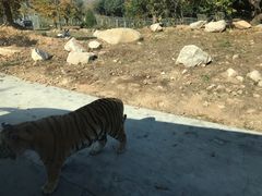 -西安秦岭野生动物园