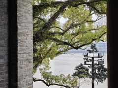 -江心屿景区